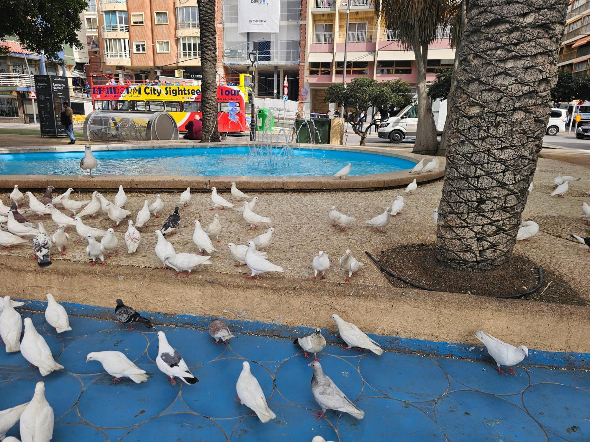 Pescadores If Apartamento Benidorm